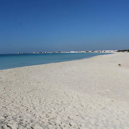 Bilo Gentile Torre Lapillo